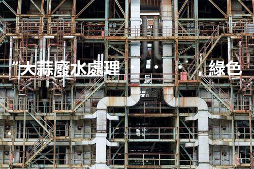 “大蒜廢水處理，綠色環(huán)保新篇章”
